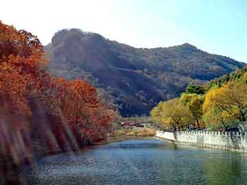 澳门二四六天天彩图库，山南物流